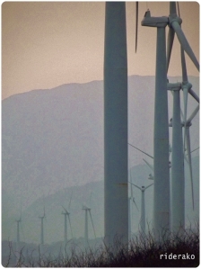 The wind turbines lining up on the Bangui shoreline.